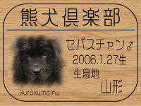 �I�[�i�[�́A�Z�o�X�`�����p�p����ł���